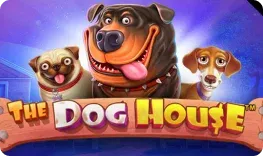 55bet Casino – The Dog House